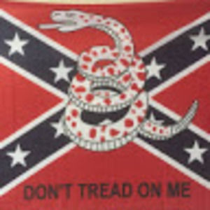 Meet your Posher, Dylan